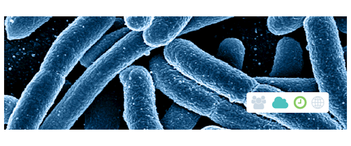 Foundation Seminar in Infectious Diseases